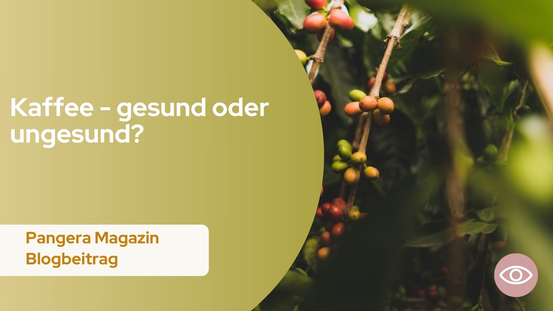 Pangera-Magazin-Kaffee