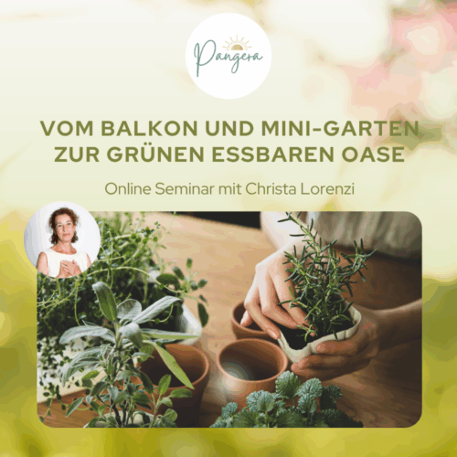 Vom Balkon und Mini - Garten zur grünen essbaren Oase