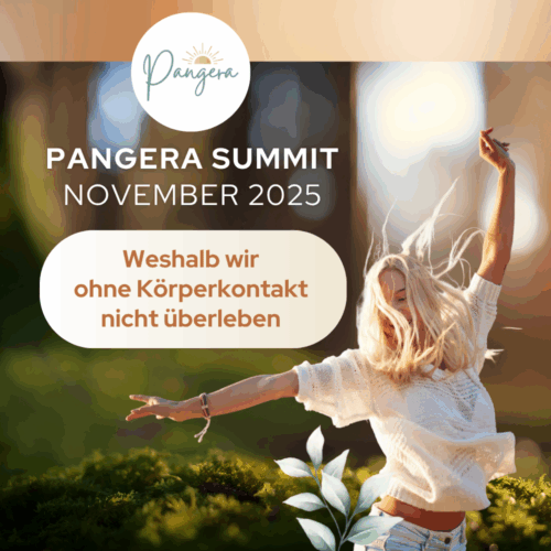 Pangera Summit November 2025 – Aufzeichnungspaket