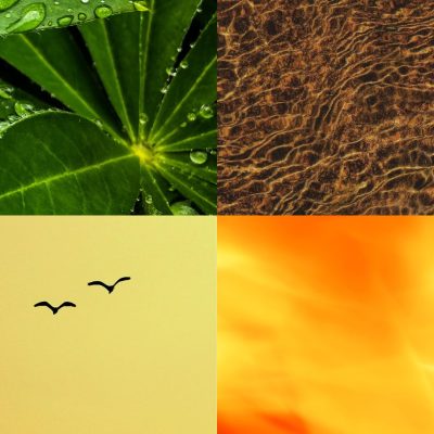 Pangera-Carmen Dettendorfer – Elemente Pangera-Carmen Dettendorfer - Elemente