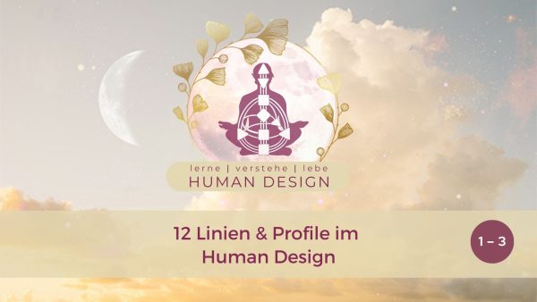 HumanDesign - Die 12 Profile 1-3