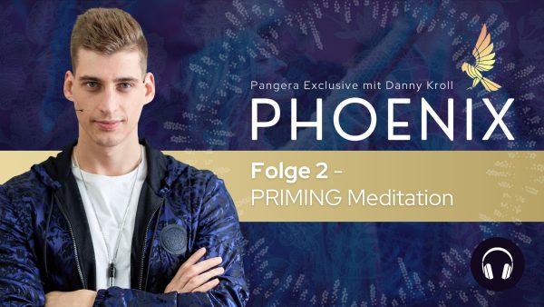 Phoenix - Folge 2 - PRIMING Meditation